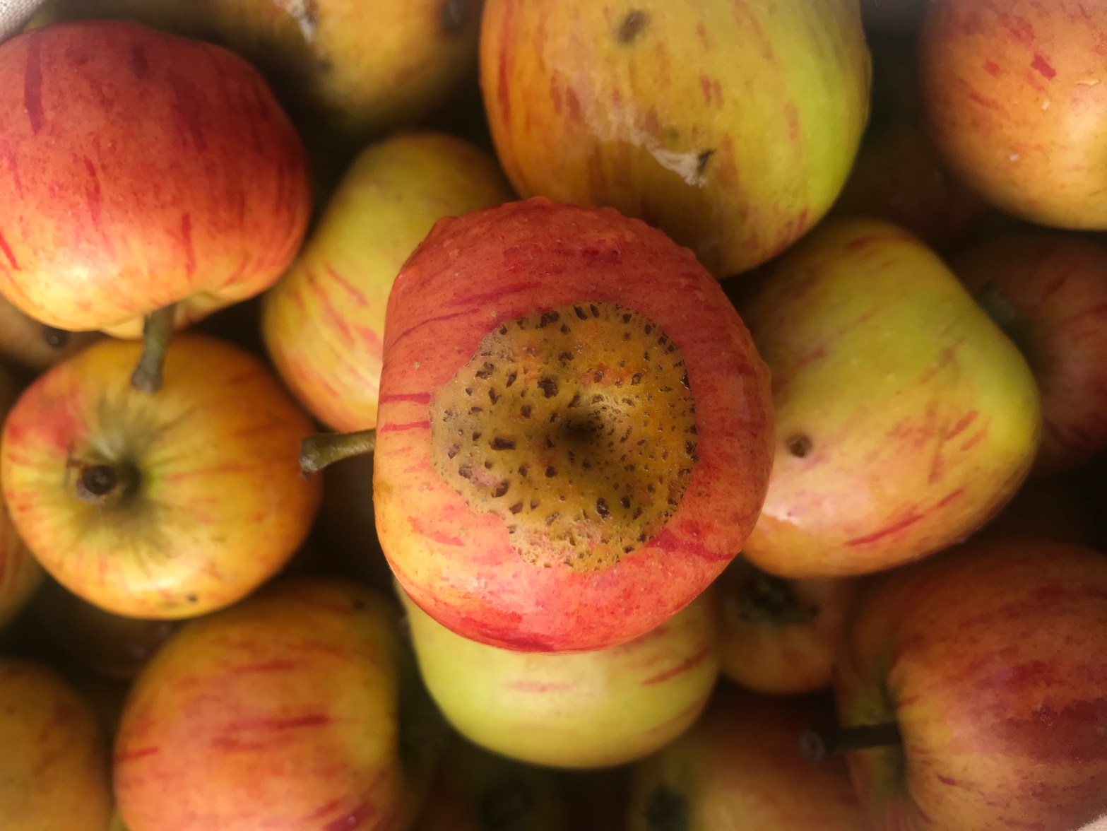 ERBSL aktiv an der TU&nbsp;Braunschweig